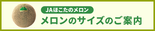 メロンのサイズのご案内