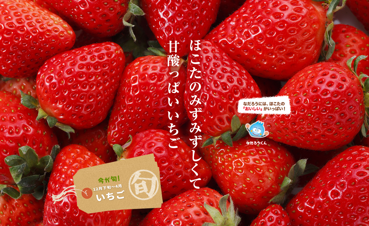 鉾田のいちご