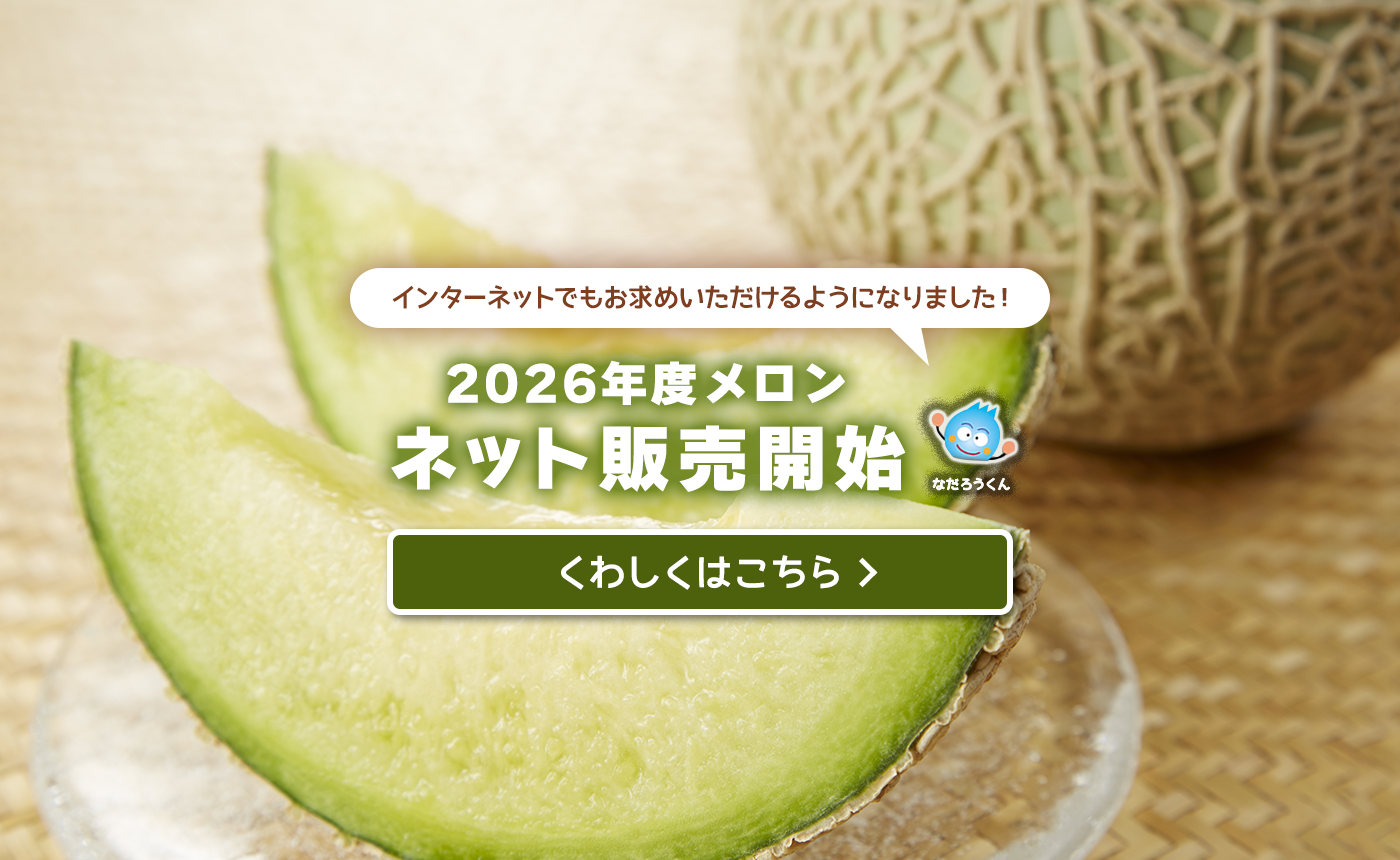 2026年度メロンネット販売開始