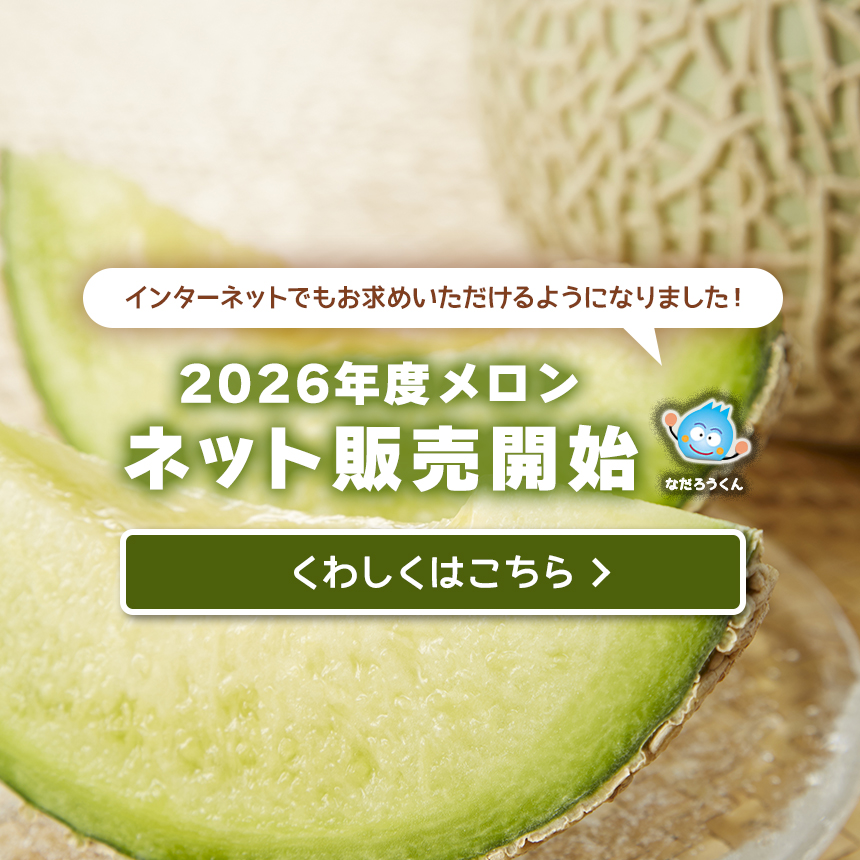 2026年度メロンネット販売開始