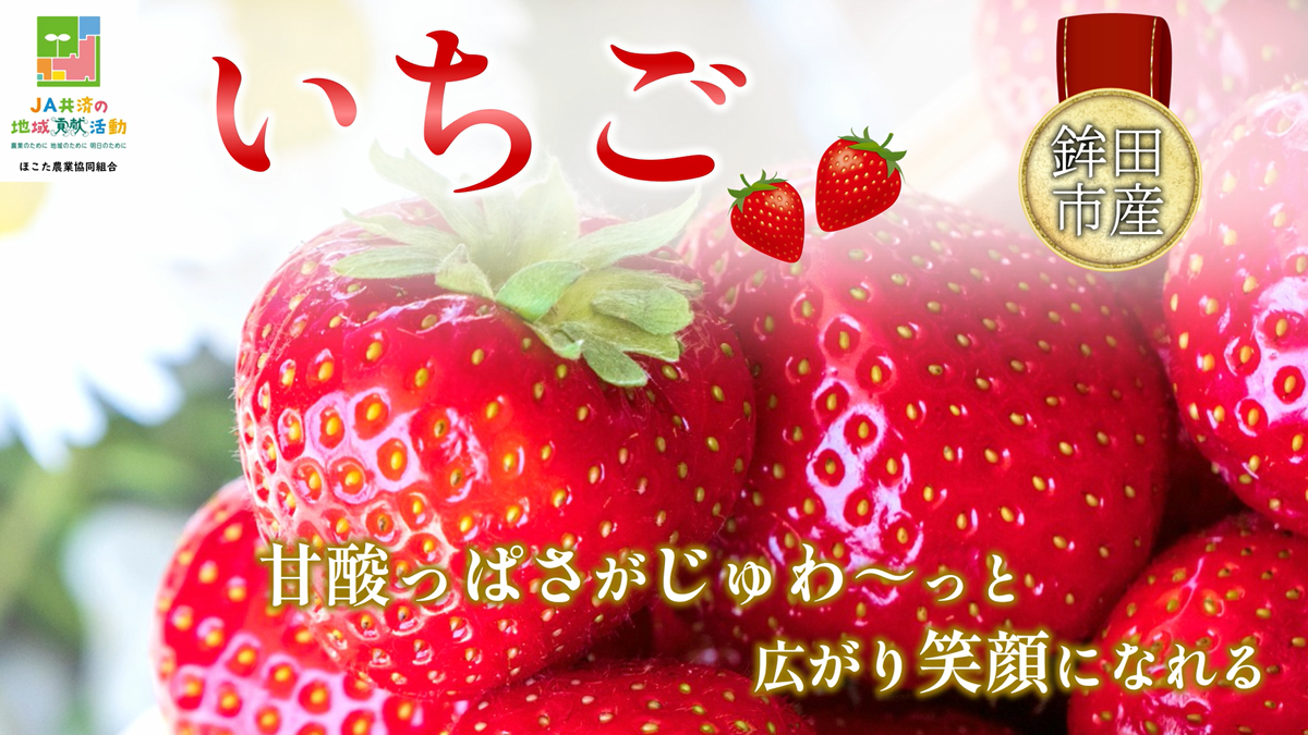 今が旬！「いちご」|JAほこた ファーマーズマーケット なだろう